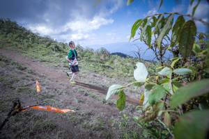 BIB: 5006
                            <button type="button" onclick="openModal(15955147)" class="btn btn-primary btn-sm float-right btn-popup" data-toggle="modal" data-target=".modal-high-quality">
                        <i class="fas fa-shopping-cart"></i> Add to Cart
                    </button>
                                            <button type="button" onclick="isThisMe(15955147, true)" class="btn btn-success btn-sm float-right btn-popup btn-isme hidden" data-toggle="tooltip" data-placement="bottom" title="นี่คือรูปของคุณใช่ไหม คลิกที่นี่เพื่อเอาเข้าอัลบั้ม">
                        <i class="fas fa-plus"></i> Add to album
                    </button>
                    <button type="button" onclick="isThisMe(15955147, false)" class="btn btn-warning btn-sm float-right btn-popup btn-isnotme hidden">
                        <i class="fas fa-ban"></i> Remove from album
                    </button>